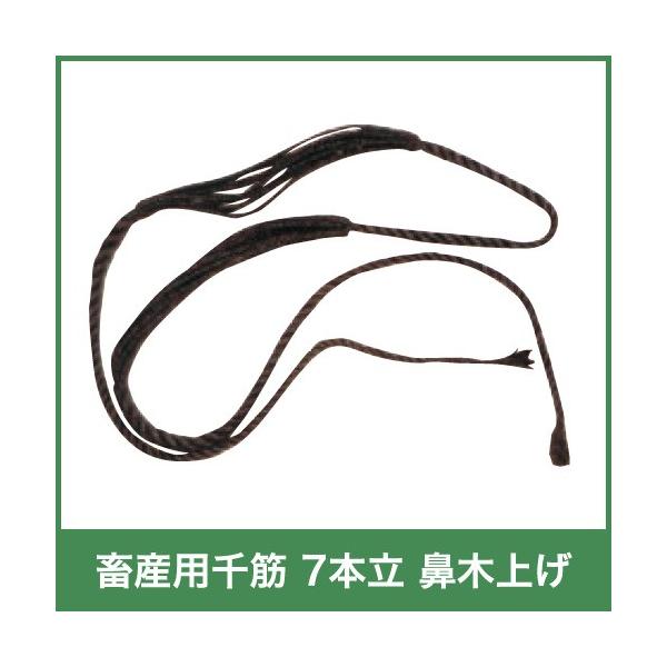 {Yp  7{ @؏グ 54717 @ {Y _ q{ YƓ   { ƒ{ {Ypi _pi Ɩp _ _