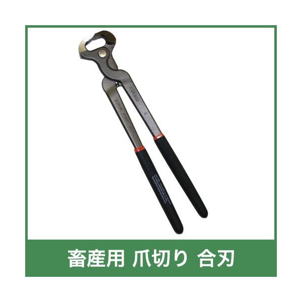 {Yp ܐ؂ n p 21100 n ͊p łp Ƃ {Y _ q{ YƓ   { ƒ{ {Ypi