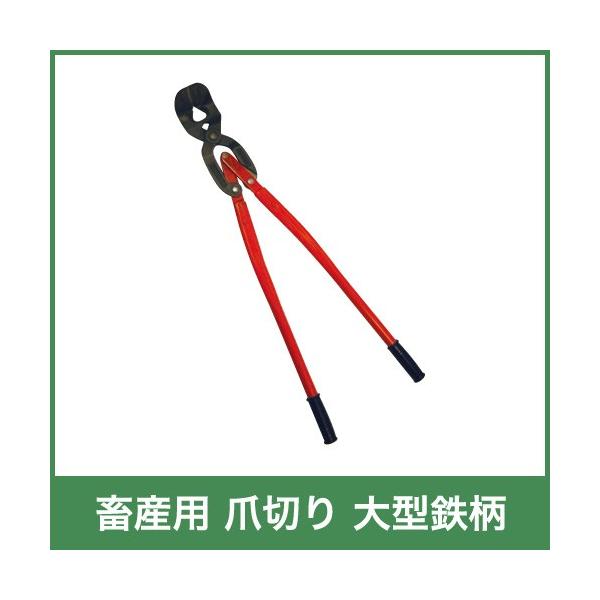 {Yp ܐ؂ ^S p 21160  Mp i Rې {Y _ q{ YƓ   { ƒ{ {Ypi