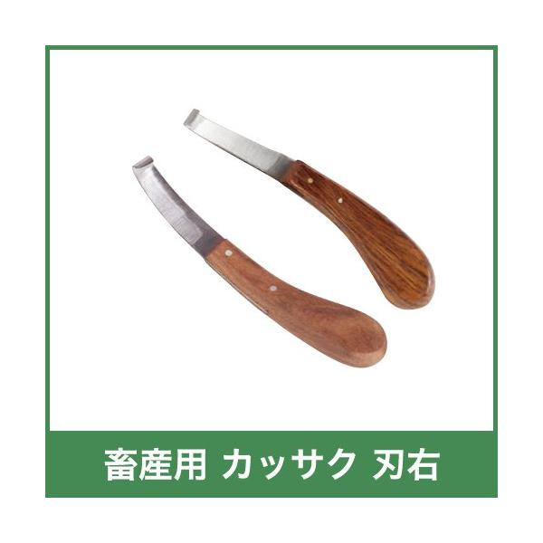 {Yp JbTN nE p 21320 Ԃ {Y _ q{ YƓ   { ƒ{ {Ypi _pi