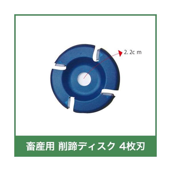 {Yp fBXN 4n p 65114 {Y _ q{ YƓ   { ƒ{ {Ypi