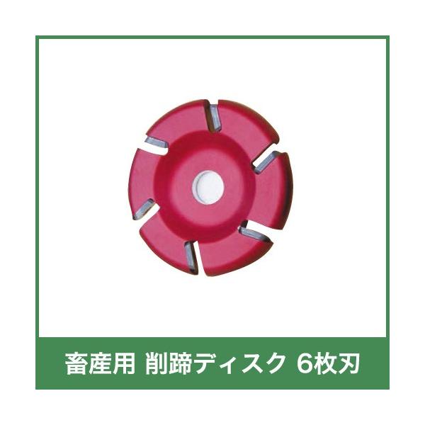 {Yp fBXN 6n p 65116 {Y _ q{ YƓ   { ƒ{ {Ypi