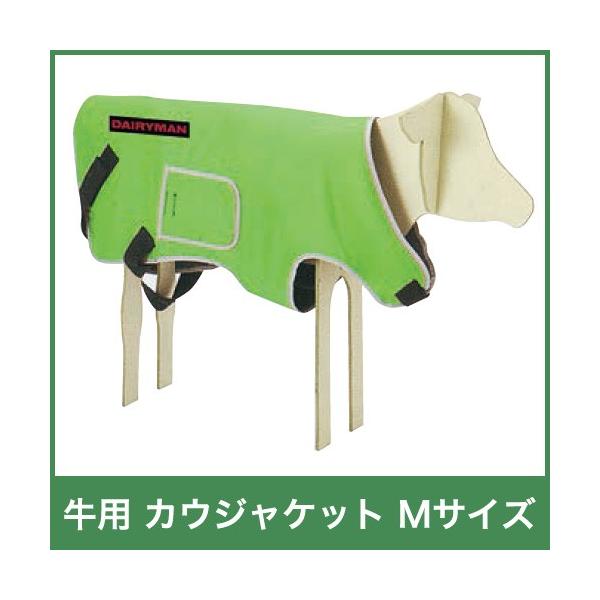 p WPbg JEWPbg TCYM 37621 {Y _ q{ YƓ  ƒ{ {Ypi _pi Ɩp _ _