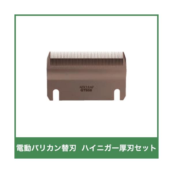 {Yp nCjK[(AfX) ֐n nZbg 14200 doJ   {Y _ q{ YƓ  r ƒ{