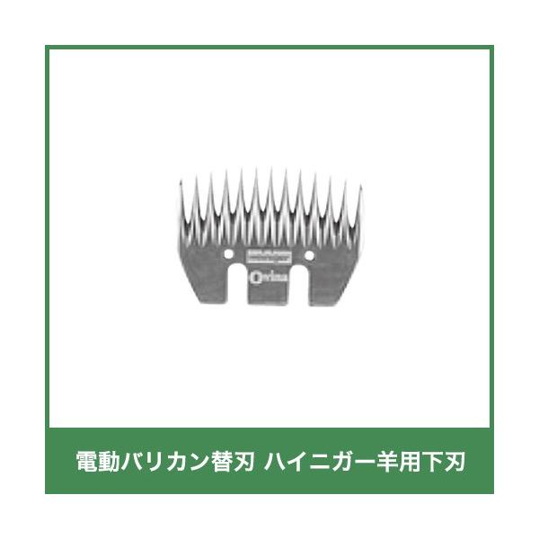 {Yp doJ nCjK[(AfX) rp֐n n 14562 {Y _ q{ YƓ   { ƒ{