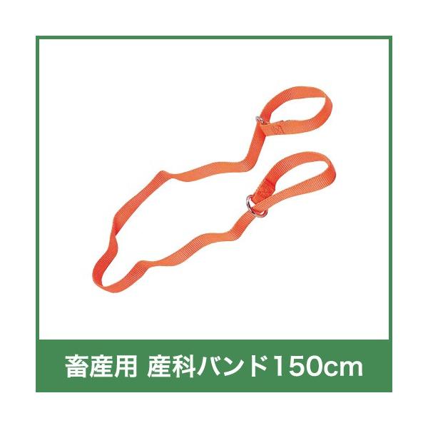 {Yp Yȃoh() 150cm 23160 / Yȗp {Y _ q{ YƓ   { ƒ{ {Ypi