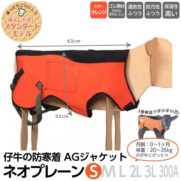 {Y _ pi AGWPbg lIv[ S qp h e AGg[fBO  ~ WPbg JE