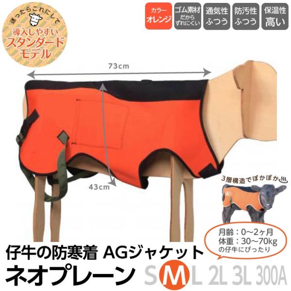 {Y _ pi AGWPbg lIv[ M qp h e AGg[fBO  ~ WPbg