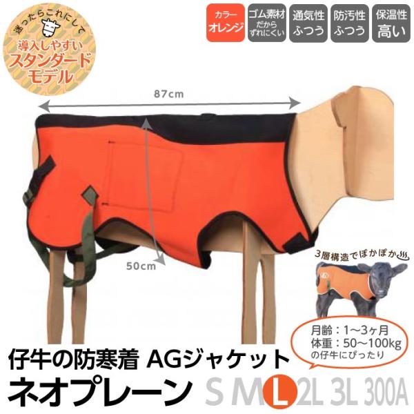 {Y _ pi AGWPbg lIv[ L qp h e AGg[fBO  ~ WPbg JE