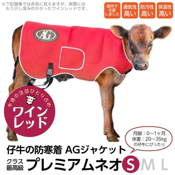 {Y _ pi AGWPbg v~A lI S qp h e AG  ~ WPbg JE