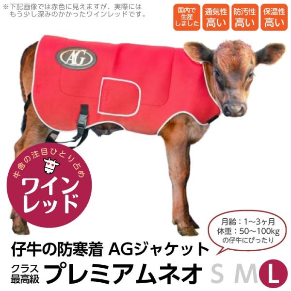 {Y q[^[ _ AGWPbg v~A lI L qp h e AGg[fBO JE