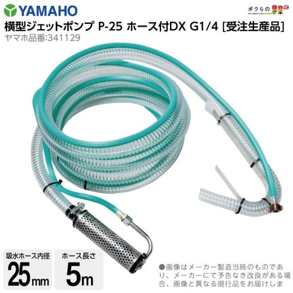 ێR쏊 ^WFbg|v P25 DX z[Xt 412933 p p p[c mY