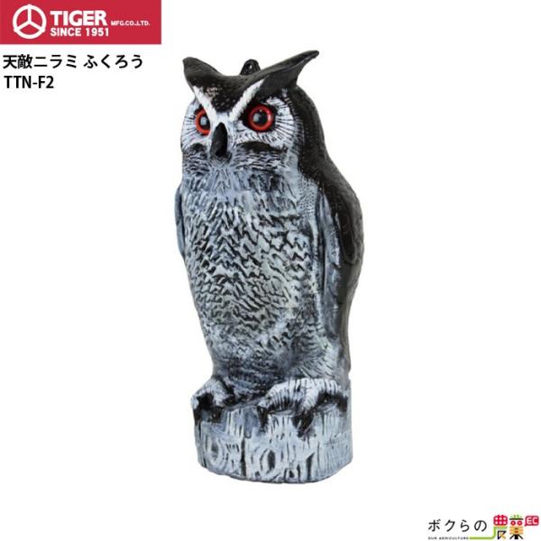 ^CK[ VGj~ ӂ낤 TTN-F2 6 }lL 悯 Q h