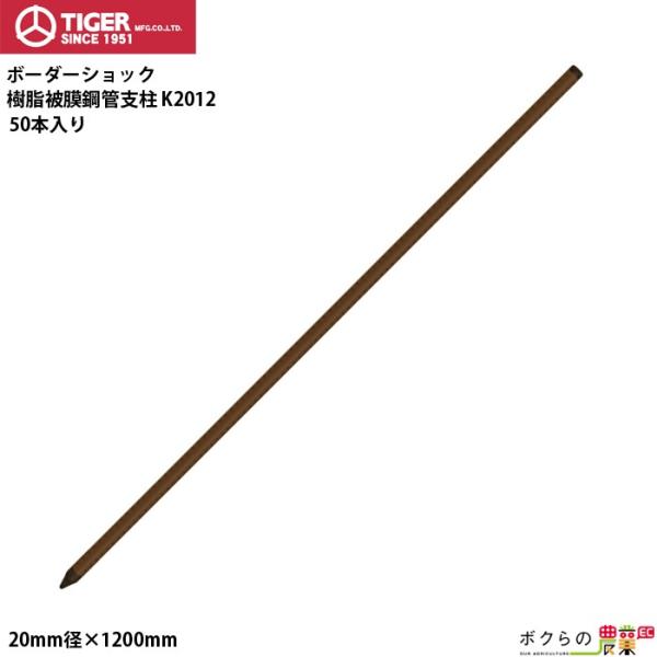 ^CK[ 핢|ǎx K2012 50{ a20mm S120cmTBS-PK20120 dCp x BORDER SHOCK {[_