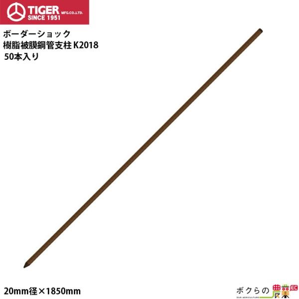 ^CK[ 핢|ǎx K2018 50{ a20mm S185cm TBS-PK20180 dCp BORDER SHOCK {[_[V