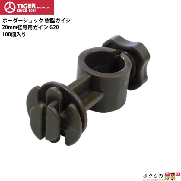 ^CK[ KCV G20 100 TBS-G20 dCp KCV BORDER SHOCK {[_[VbN dC VJECmVVEN}