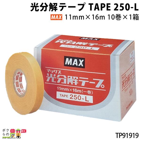 MAX e[v TAPE 250-L 10 TP91919 ʃg}g   U