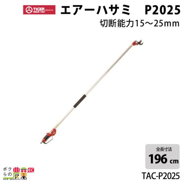 ^CK[ GA[nT~P2025 TAC-P2025 2{ ؂莮 } }nT~