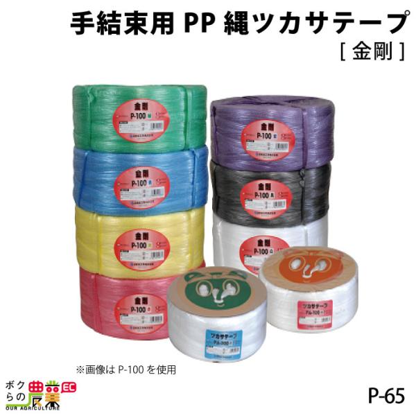 茋pPPcJTe[vE P-65 5