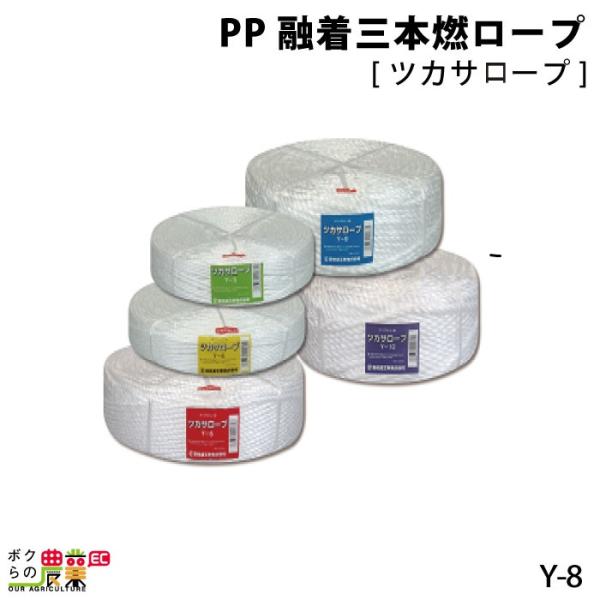 PPZO{R[v cJT[v Y-8 5