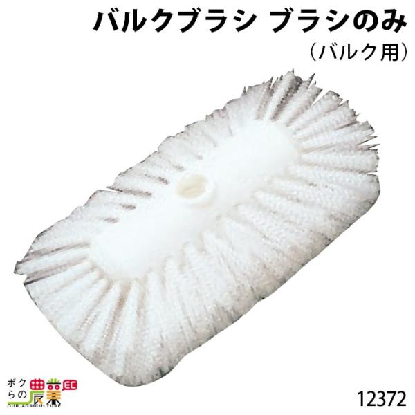 {Yp oNuV uV̂ (oNp) 14cm×20cm т̒4.5cm 12372 {Y _ q{ YƓ ƒ{ {Ypi