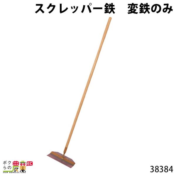 {Yp XNbp[ ֓S _Ɨp 38384 XRbv Vx | Еt {Ypi _pi