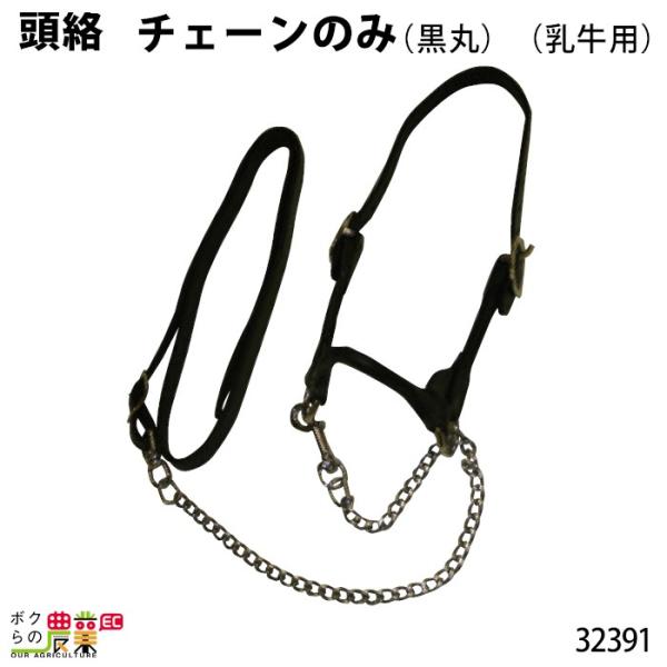 {Y p   `F[ 32391  q   {Ypi _pi