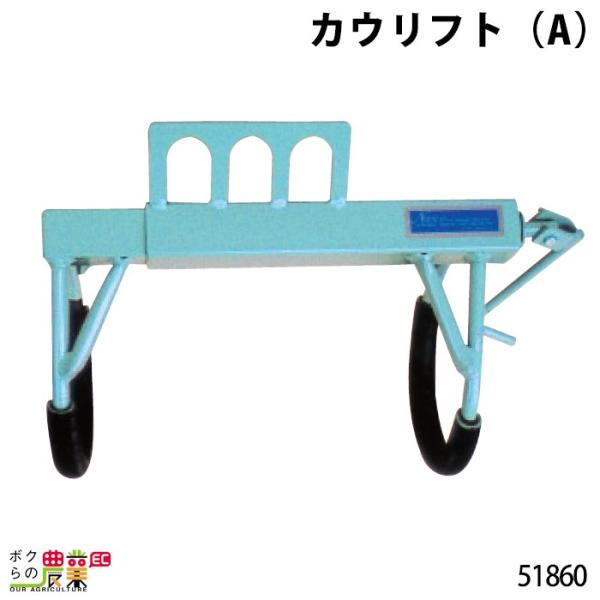 JEtg (A) 51860 ŏ39cm ő啝66cm N⏕ ⏕ T|[g ɐBQ Ns\ N ێ  {Ypi _pi