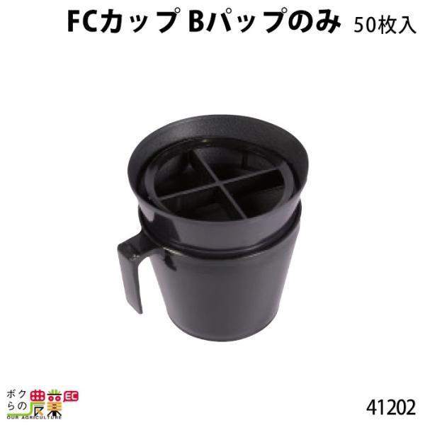 FCJbv Bpbv (50) 9cm t^̒a12cm 41202  {Ypi _pi