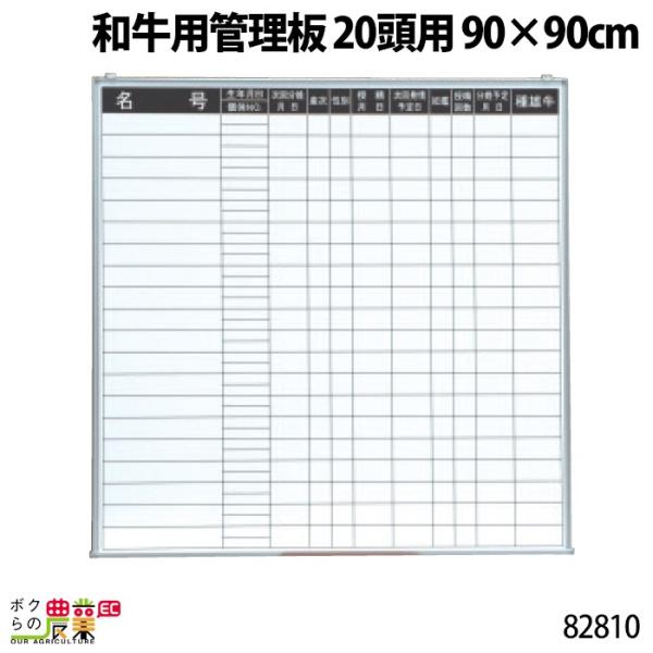 󒍐Y [ʓrē {Yp apǗ 20p 90×90cm 82810 JE{[h L^ L   {Y _ q{ YƓ ƒ{