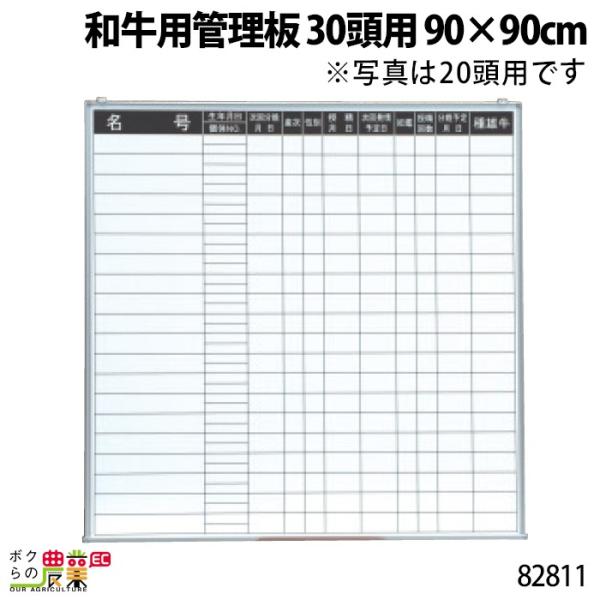 {Yp apǗ 30p 90×90cm 82811 JE{[h L^ L   {Y _ q{ YƓ ƒ{ {Ypi