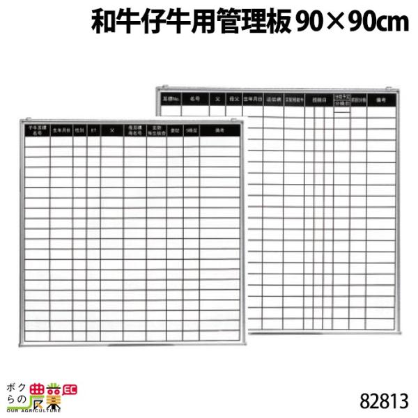 {Yp aepǗ 90×90cm 82813 JE{[h L^ L   {Y _ q{ YƓ ƒ{ {Ypi