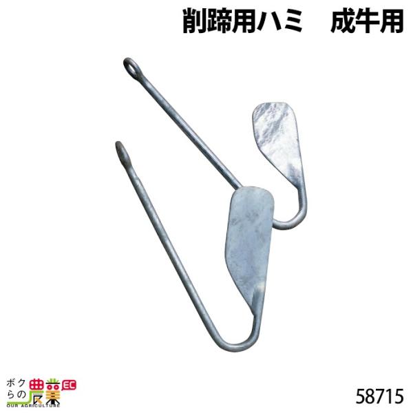 {Yp pn~ p 58715 a  {Ypi _pi _