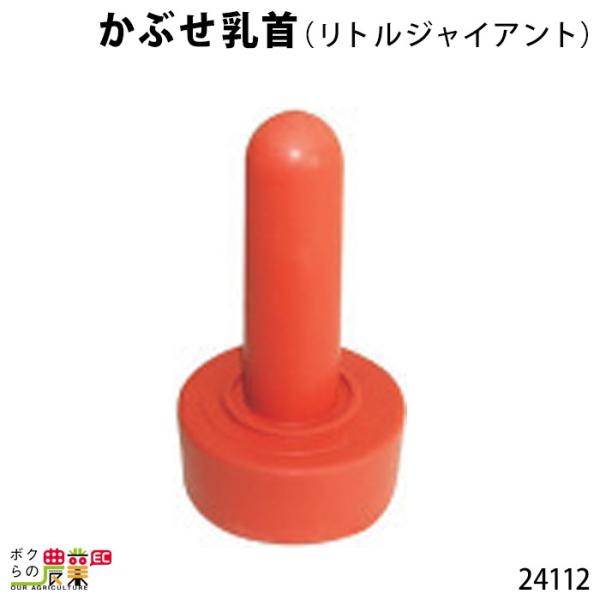 {Yp Ԃp^Cv Ԃ (gWCAg) 24112  Mp ~N q {Ypi _pi _