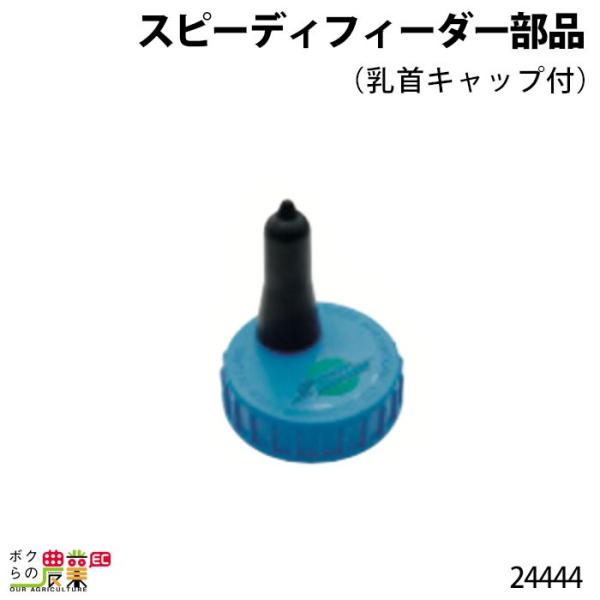 {Yp Xs[fB[tB[_[ i (ELbvt) 24444  Mp ~N q {Ypi _pi _