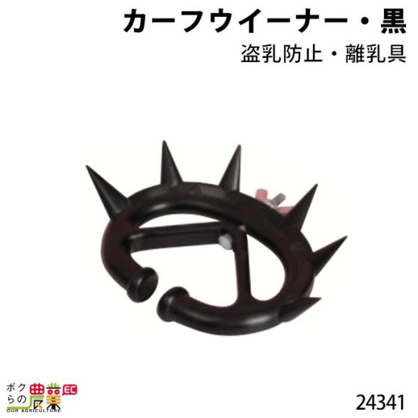 {Yp J[tEC[i[  h~  24341   @ {Yp _ q{  {Ypi _pi