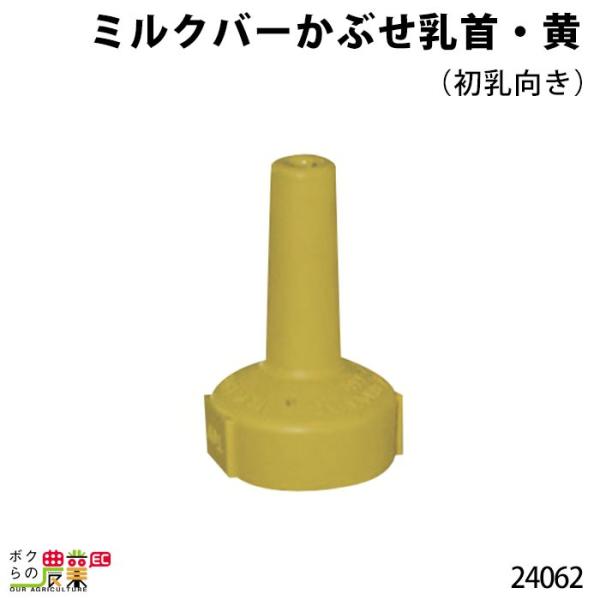 {Yp ~No[Ԃ  () 24062 q N  ~N Mp  t {Yp _ q{  {Ypi _pi