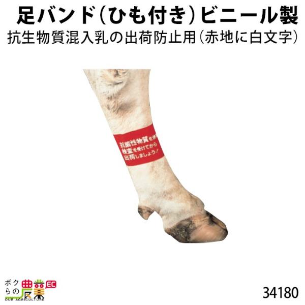 {Yp oh (Ђt) rj[ (Ԓnɔ) 1 34180 bOoh oh rj[ {Ypi _pi