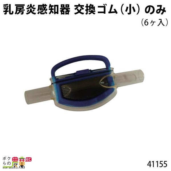 {Yp [m i S () (6) 41155 ܂Ƃߔ S   XyA  [ fBeN^[ {Ypi _