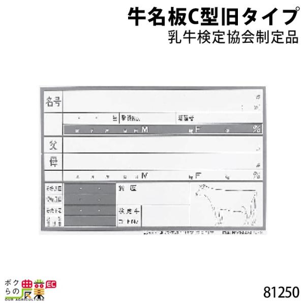{Yp C^ ^Cv 苦i 30cm×45cm 81250  v[g {Y _ q{ YƓ ƒ{ {Ypi