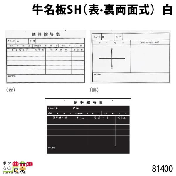 {Yp SH (\Eʎ)  30cm×45cm 81400  v[g {Y _ q{ YƓ ƒ{ {Ypi