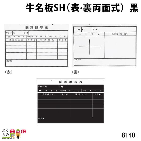 {Yp SH (\Eʎ)  30cm×45cm 81401  v[g {Y _ q{ YƓ ƒ{ {Ypi