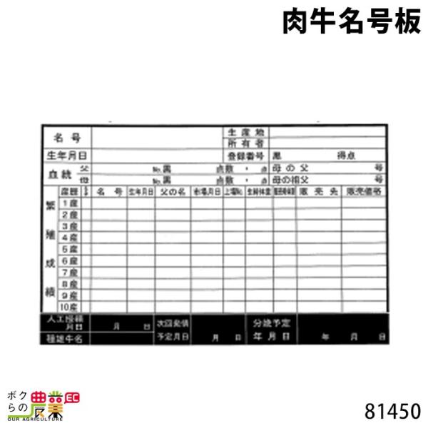 {Yp  30cm×45cm 81450 {Y _ q{ YƓ ƒ{ {Ypi