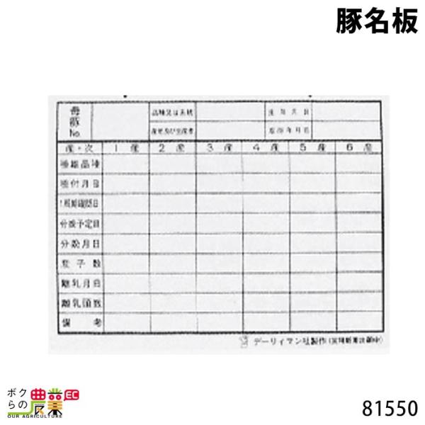 {Yp ؖ 22.5cm×30cm 81550 {Y _ q{ YƓ ƒ{ {Ypi