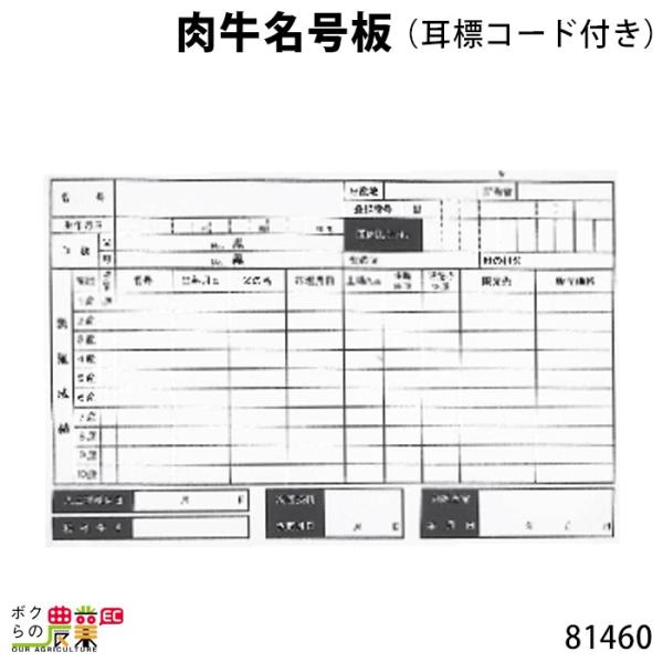 {Yp  (WR[ht) 381460 0cm×45cm {Y _ q{ YƓ ƒ{ {Ypi