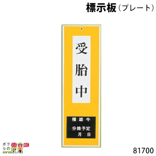 W (v[g) 8.5cm×27.5cm 81700 W {Y _ q{ YƓ ƒ{ {Ypi