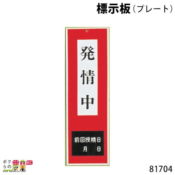 W (v[g) 8.5cm×27.5cm 81704 W {Y _ q{ YƓ ƒ{ {Ypi