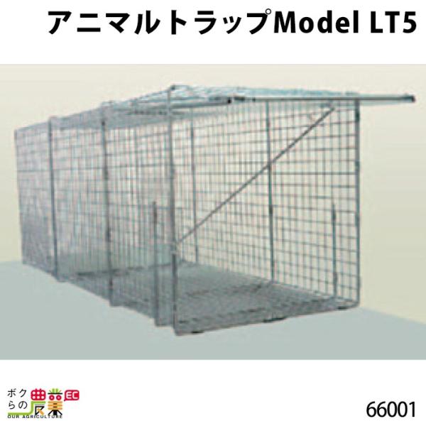 {Yp Aj}gbv Model LT5 66001 ^쐶ߊlgbv  {Y _ q{ YƓ   { ƒ{ {Ypi