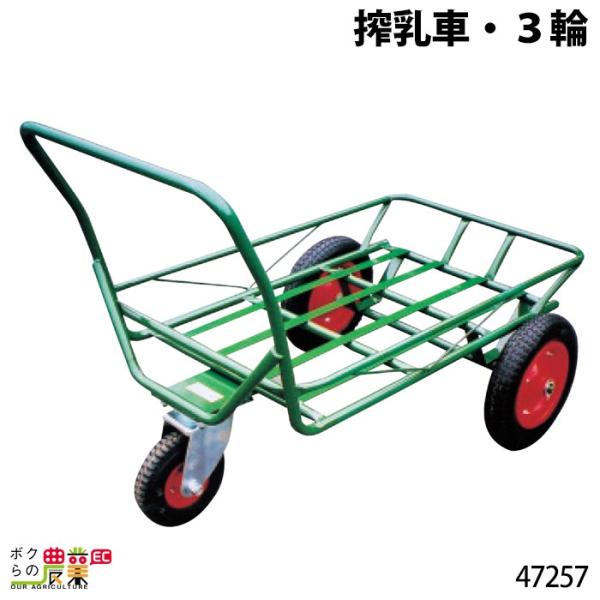 {Yp ԁE3 47257 ב䐡@56×92cm nォב̍32cm  O {Y _ q{ YƓ ƒ{ {Ypi