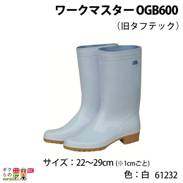 [N}X^[ OGB600 (^tebN) FF TCYF22`29cm 61232 C {Ypi _pi